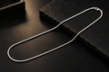 Silver Snake Chain